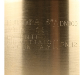 Клапан обратный пружинный муфтовый с металлическим седлом EUROPA 100 4 Itap в Сочи 7