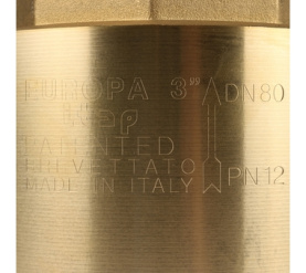 Клапан обратный пружинный муфтовый с металлическим седлом EUROPA 100 3 Itap в Сочи 7