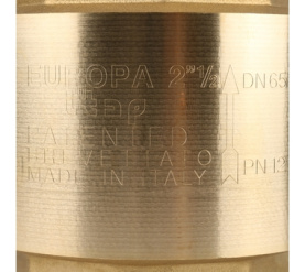 Клапан обратный пружинный муфтовый с металлическим седлом EUROPA 100 2 1/2 Itap в Сочи 7